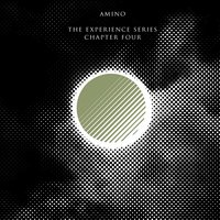 What's Left Is Dust - Amino