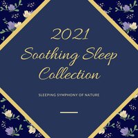 Deep Sleep Music to Cure Insomnia - Night Moods