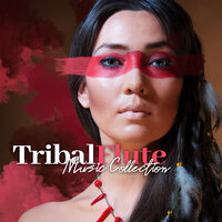 Restore Balance and Harmony - Native American Music Consort