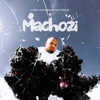 Machozi - Stamina Shorwebwenzi & Bushoke
