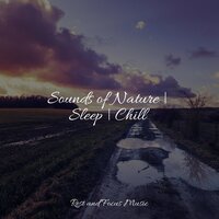 Steady Training - Meditação Yoga & Yoga Music & Sounds of Nature White Noise for Mindfulness Meditation and Relaxation