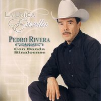 Goza Tu Vida - Pedro Rivera