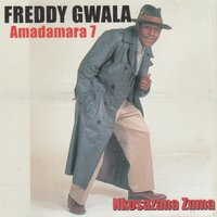 Nkosazana Zuma - Freddy Gwala