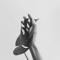 Trio Jazz Soundtrack for Relaxing - Soft Jazz Collections