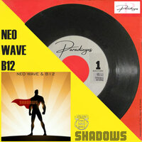 Shadows - Neo Wave & B12