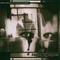 Die Bruderschaft der Schmerzes (Die Unbegreiflichkeit des Dunklen Pfades, den die Kinder Saturns gehen) - Sopor Aeternus & The Ensemble Of Shadows