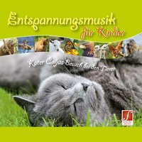 Tanz der Libellen am Bergsee - Santec Music Orchestra