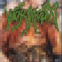 Worms Inside Your Flesh - Wormosis