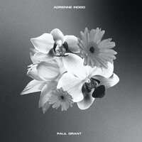 Rebirth - Paul Grant & Adrienne Indigo