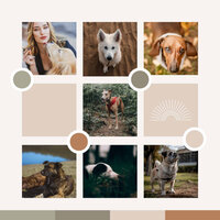 Superlative Backdrops for Dog Calming - Dog Music Therapy