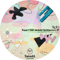 Modular Synthesizers - Rupert Wall