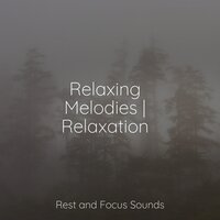 Calming Vibes - Musique Zen Garden & Entspannungsmusik Meer & Asian Zen: Spa Music Meditation