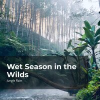 Woodland Pacific Rain - Nature and Rain & Deep Rain Sampling & Jungle Rain