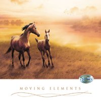 Gliding in the Wind - Santec Music Orchestra