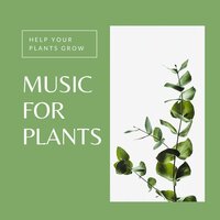 Stimulate Plant Growth - Zen Garden Secrets