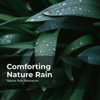 Therapeutic Earth Rain - Rain Recorders & Rainfall & Nature Rain Relaxation