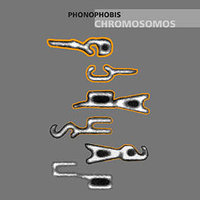 Tanzbud - Chromosomos