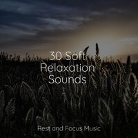 Dharma Crossing - Calm shores & Soothing Chill Out For Insomnia & Meditação Maestro