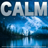 Music For Massage - Calm music & Meditation and Relaxation & Relaxing music