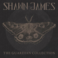 Like A Stone - Shawn James
