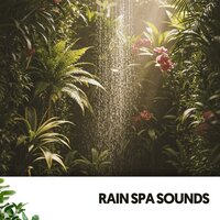 alma en calma - Cat Music Therapy & Rain Sounds Nature Collection & Sonidos De Agua