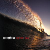 Yokohama - Buckethead