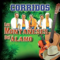 México de Moda - Los Montañeses Del Alamo