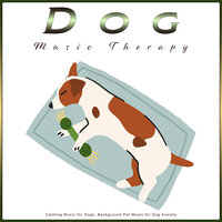 Background Pet Music - Dog Music Therapy & Sleeping Music For Dogs & Dog Music Collective