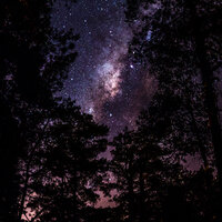 Armonía De Primavera - Meditação Yoga & Música de la Naturaleza & Sons da Natureza Relax