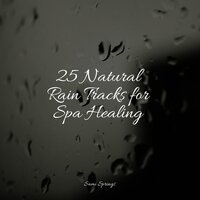 Rain, Trees, Dripping - Zona Música Relaxante & Relaxation Personal Guru & Rain Sounds Sleep
