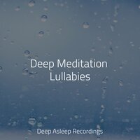 Steady Training - Massagem Coleção de Músicas & Reiki Tribe & Life Sounds Nature