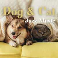 Soothe Your Cat - Jazz Music for Cats & Jazz Music for Dogs & Jazz Pets Relax
