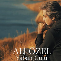 Yaban Gülü - Ali Özel