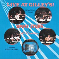 Ice Castles - Jimmy Sturr And His Orchestra