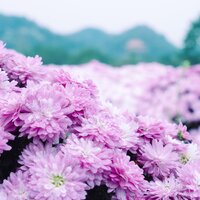 静谧店铺 - 晏浩然