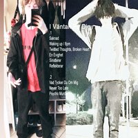 Reflekterar - Spira me & Bigdog30k