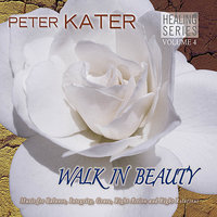 For My Children's Children (Peter Kater with Joseph Firecrow) - Peter Kater & Joseph Firecrow