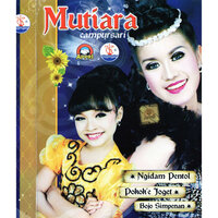 Ilang Tanpo Aran - Lilin Herlina