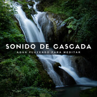 Relajación De Cascadas - Sonido Del Bosque y Naturaleza & Musica relajante & Música De Relajación Para Dormir Profundamente