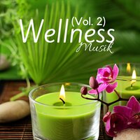Therapeutische Musik - Meister der Entspannung und Meditation