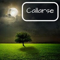 Noche Mágica - Sonar de Noche Maestro