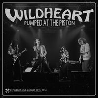 Always Beggin' - Wildheart