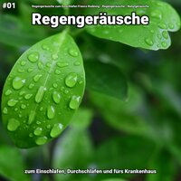 Regengeräusche, pt. 78 - Regengeräusche zum Einschlafen Franco Rodewig & Regengeräusche & Naturgeräusche