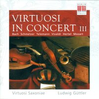 II. Andante - Roland Straumer, Virtuosi Saxoniae, Ludwig Guttler, Susanne Ehrhardt, Uta Hoffmann & Ludwig Güttler & Virtuosi Saxoniae & Johann Sebastian Bach