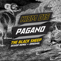 The Black Sheep - Pagano