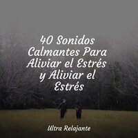 Gota En La Canasta - Academia de Música con Sonidos de la Naturaleza & Piano para Relajarse & Relajar