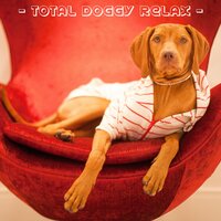 Zen Ambitions - Calming for Dogs & Sleepy Dogs & Dog Music Club