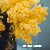 Can I Read Your Mind - Meditation Music & Relaxing music & Medicina Relaxante