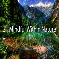 Вдохновленный трепетом - Nature Sounds for Sleep and Relaxation