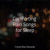 Tender Droplets - Sons da Natureza Relax & Master Meditação & Rain and Nature